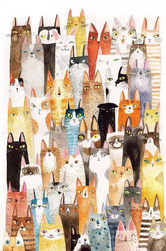 Cat Puzzle